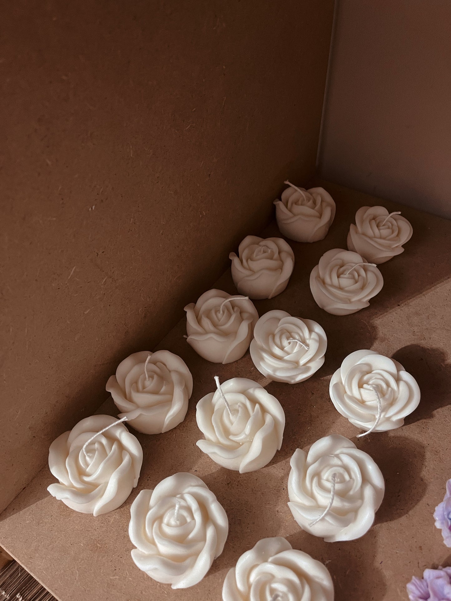 Rosa con Cartoncino