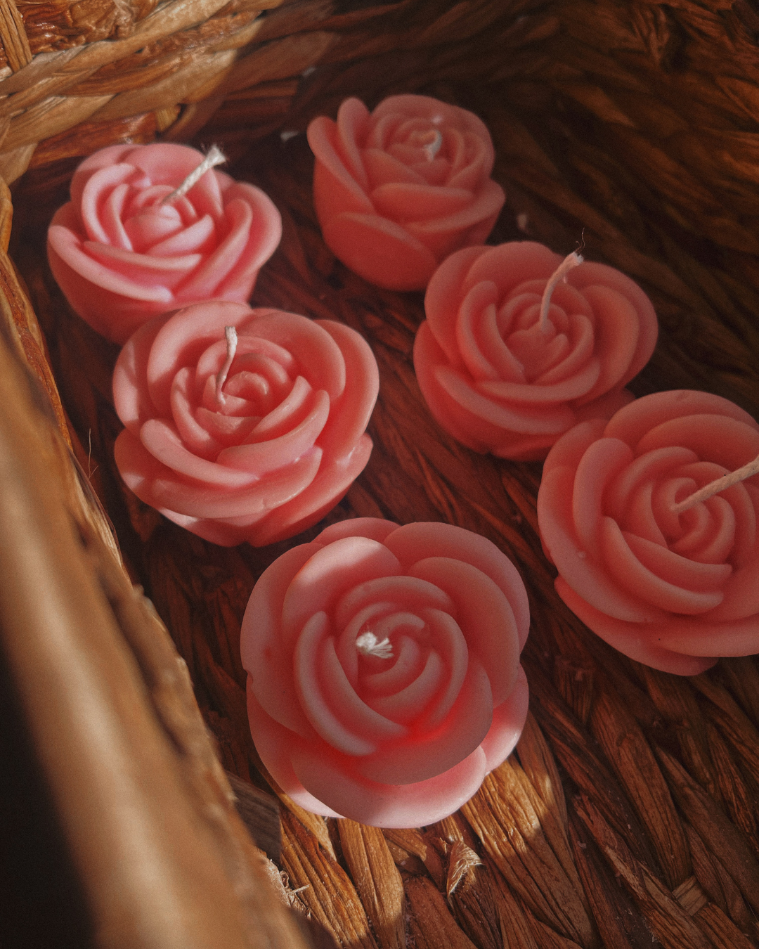Rosa con Cartoncino
