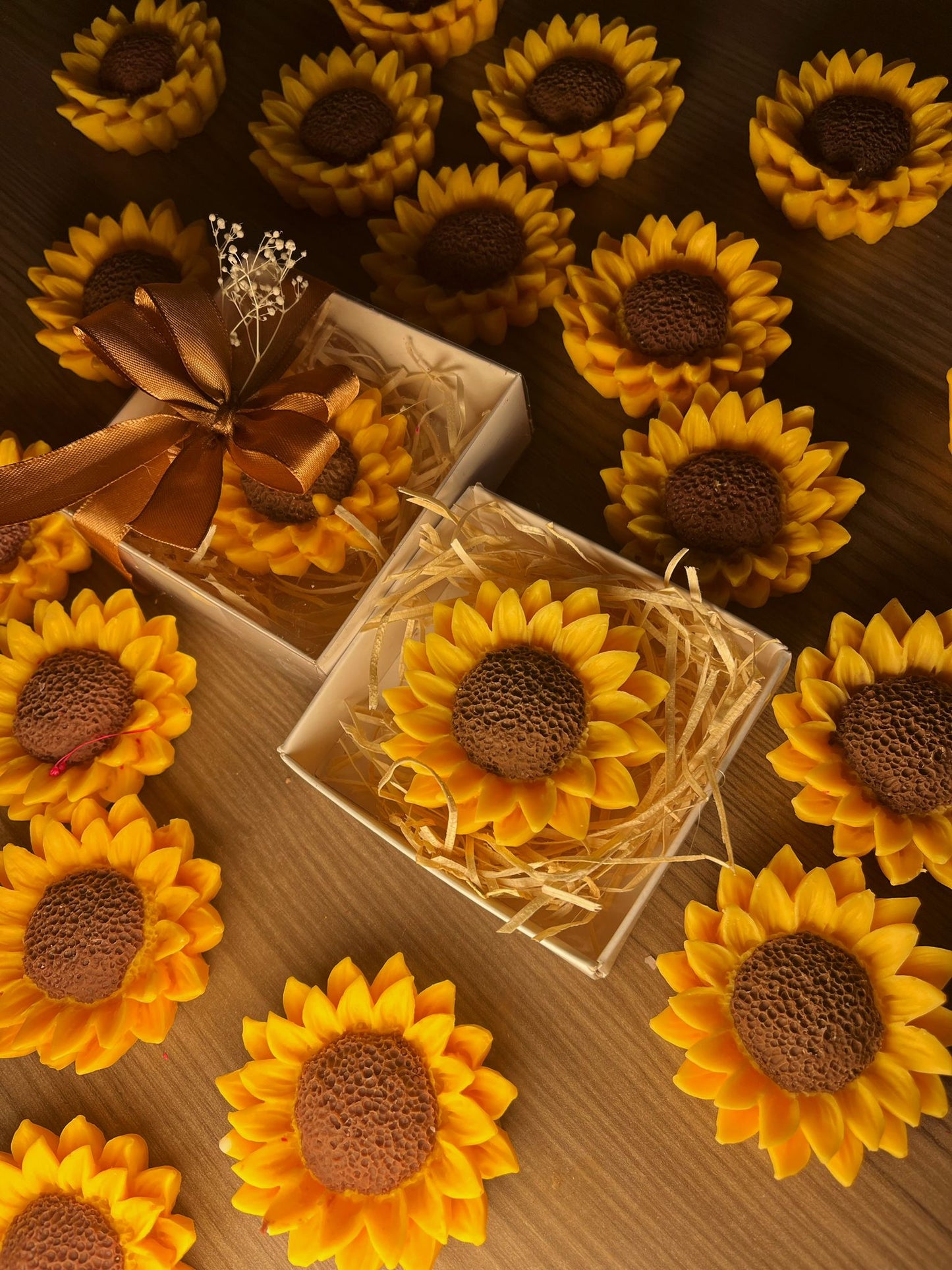 Girasole con scatolina