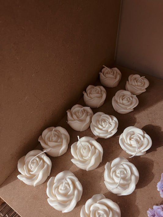 Rosa