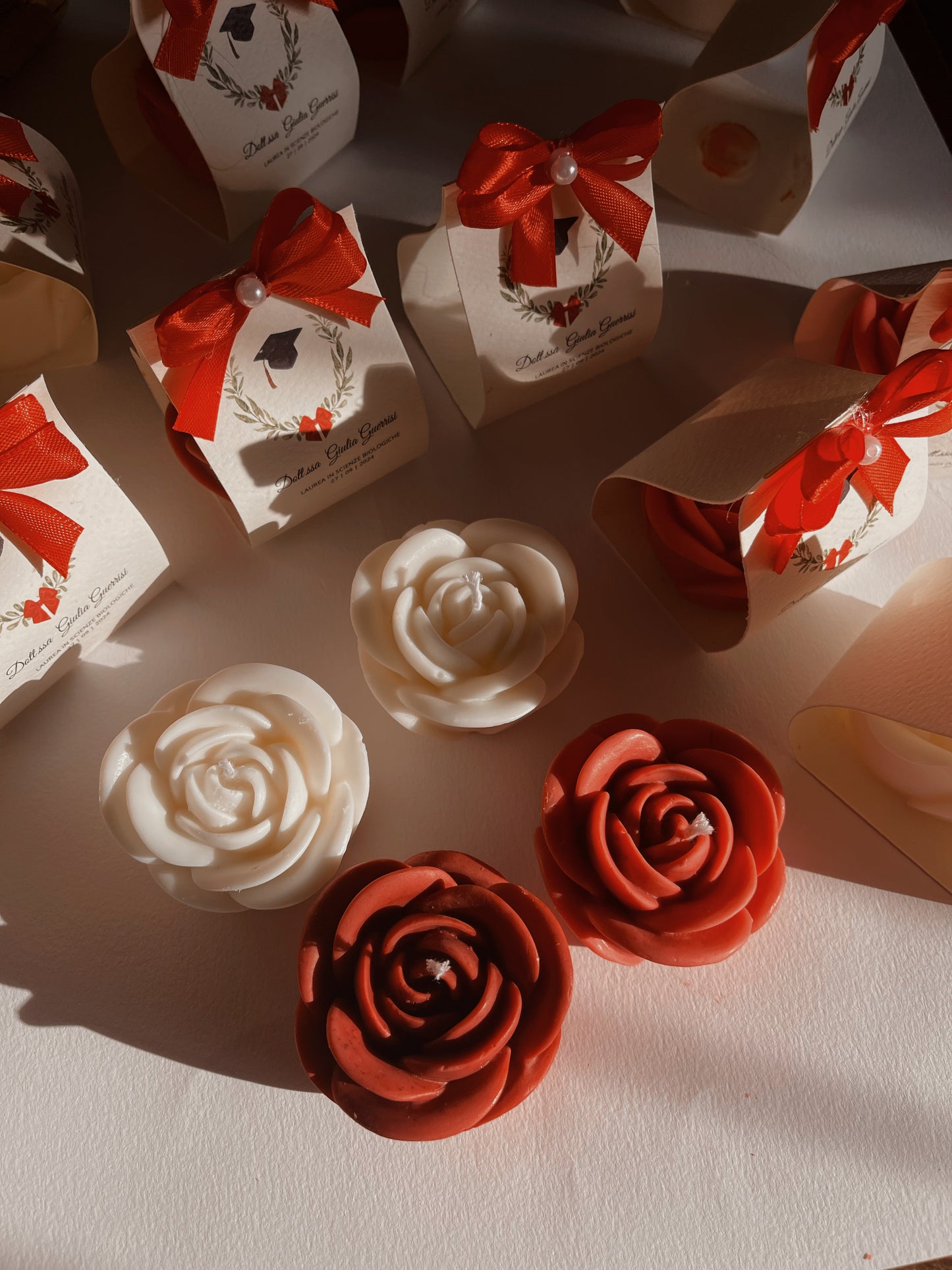 Rosa con Cartoncino