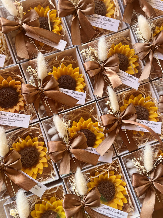 Girasole con scatolina